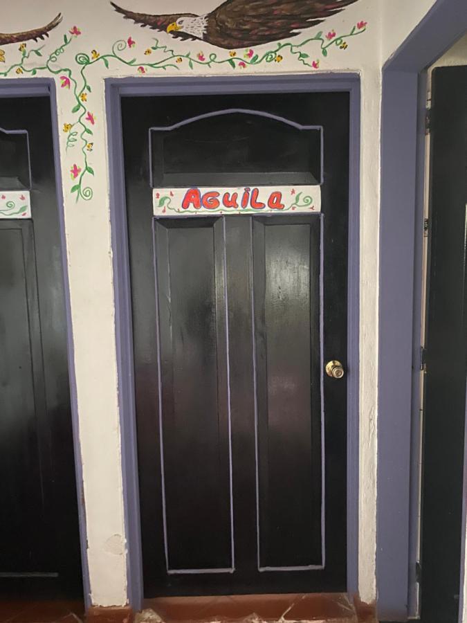 Hostel Alegria